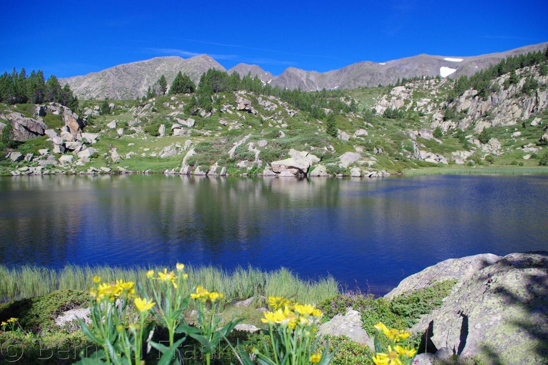 Studio Ecureuil 2 Pers Au Coeur De La Montagne La Llagonne Exteriér fotografie